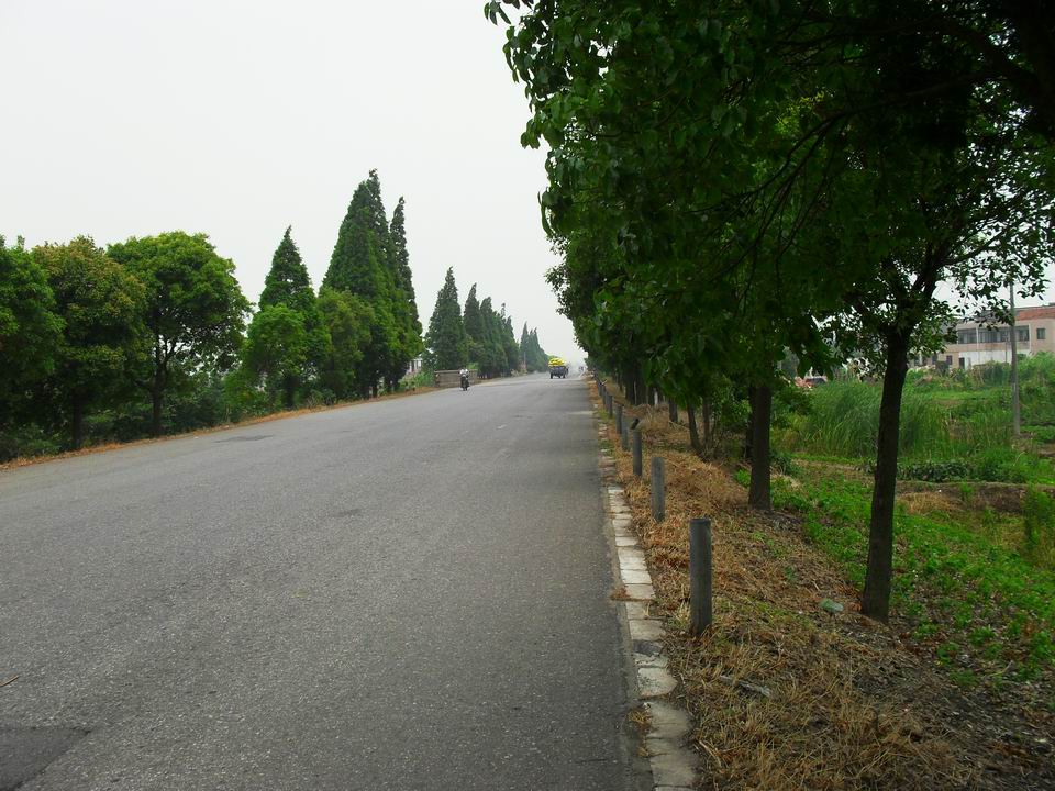 调整大小 SDC12749.JPG