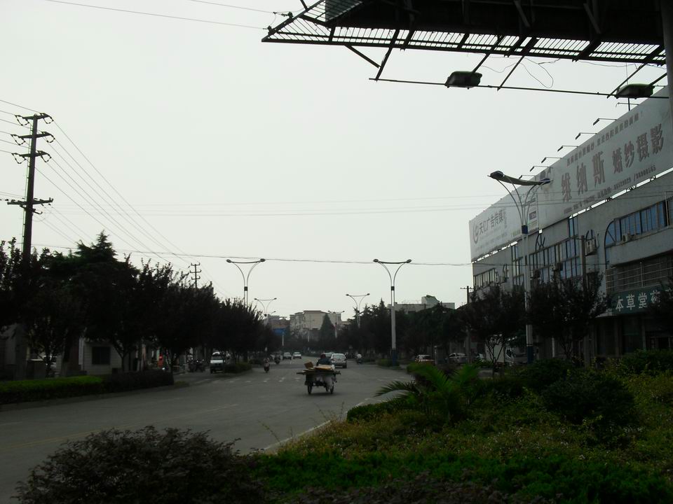 调整大小 SDC12753.JPG