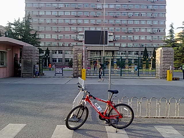 20100704113.jpg