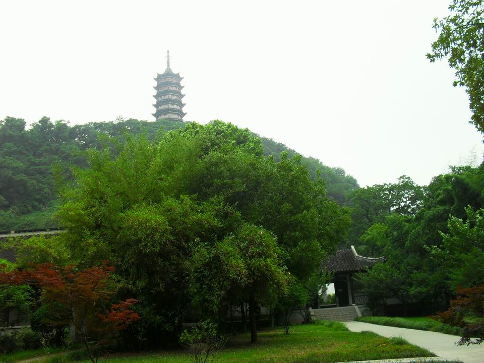 调整大小 SDC12870.JPG