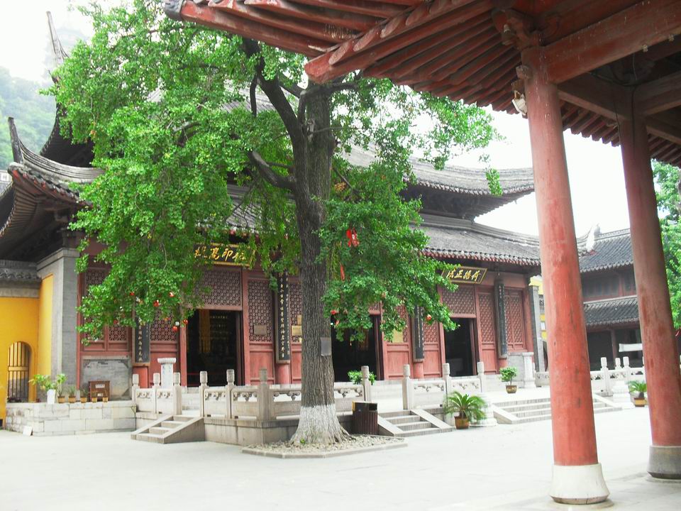 调整大小 SDC12862.JPG