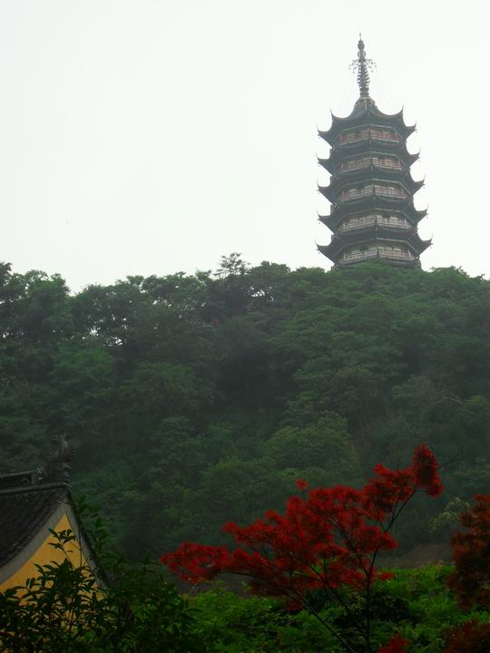 调整大小 旋转 SDC12872.JPG