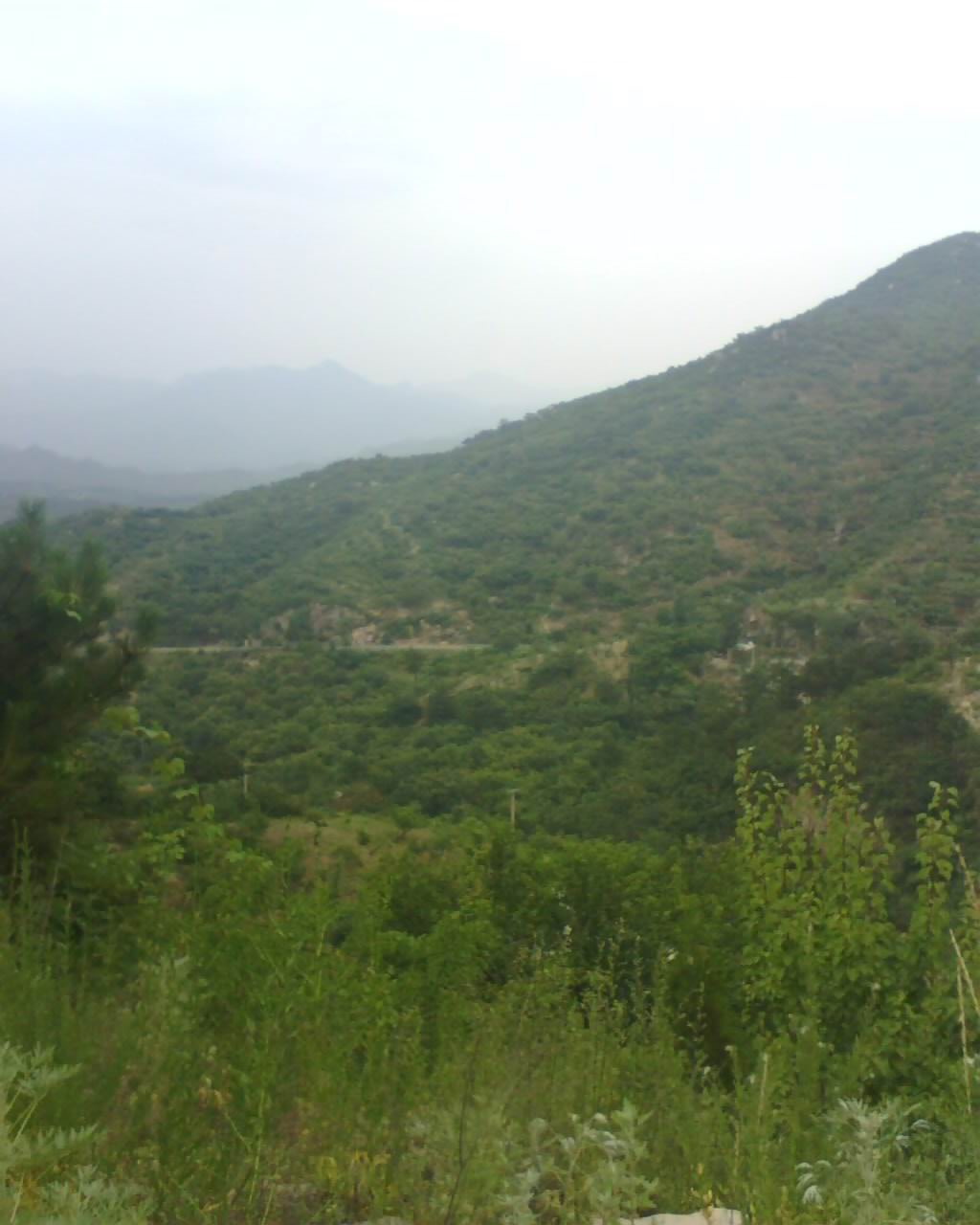 旋转 0707_1718_33.jpg