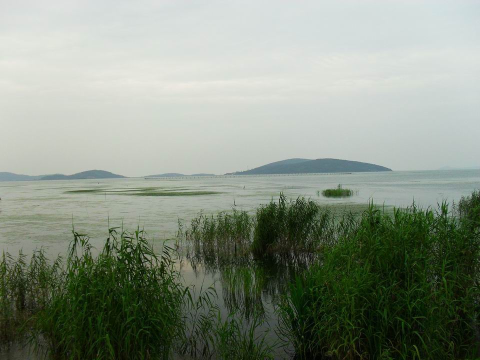 调整大小 SDC13613.jpg