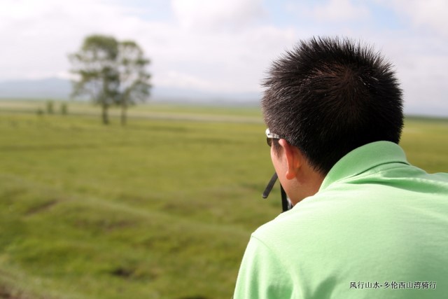 远方的树。。。