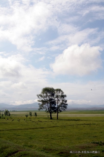 这里独好。。。