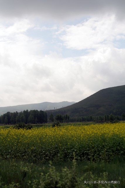 又发现一处美景。。。