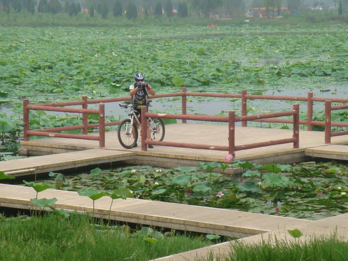 我照~那个最好看！