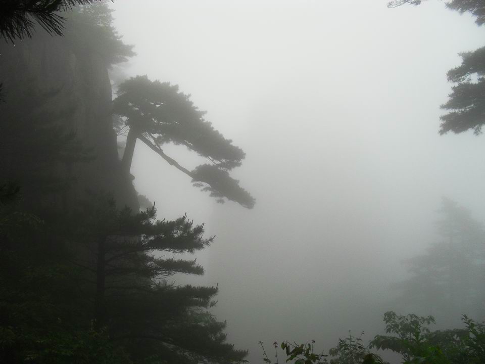 调整大小 SDC14263.JPG