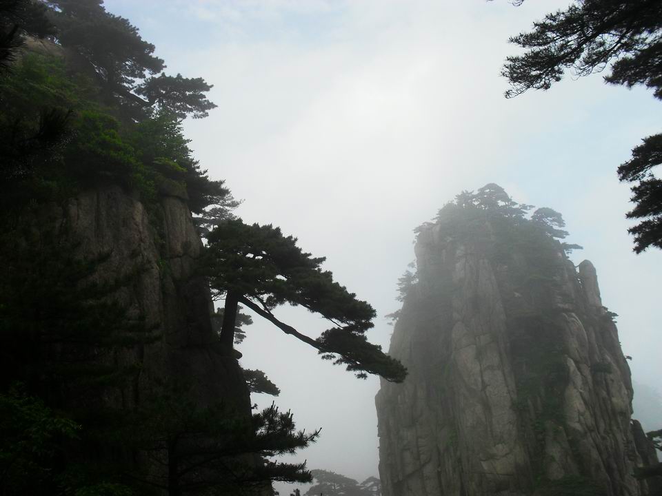 调整大小 SDC14366.JPG