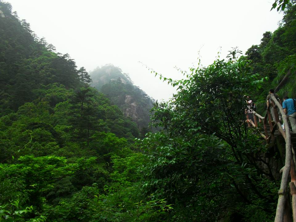 调整大小 SDC14185.JPG