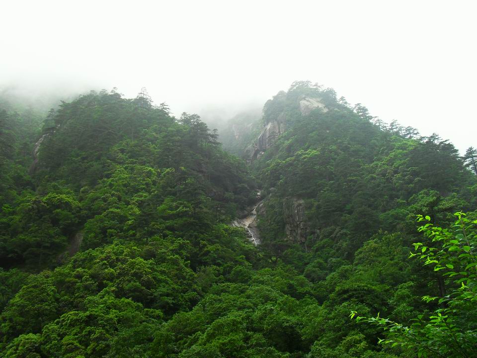 调整大小 SDC14187.JPG