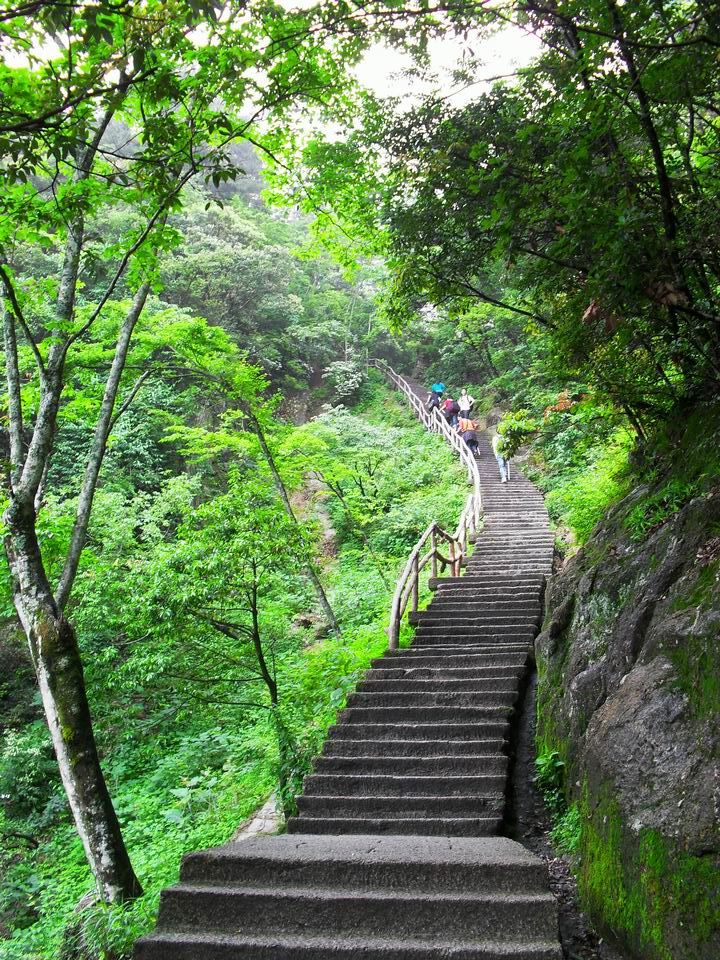 旋转 调整大小 SDC14197.JPG