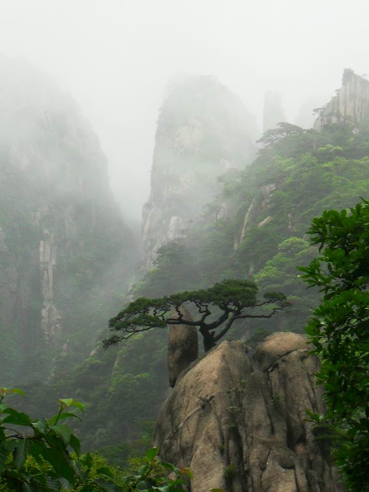 旋转 调整大小 SDC14222.JPG