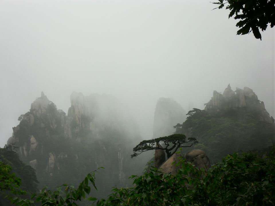 调整大小 SDC14226.JPG