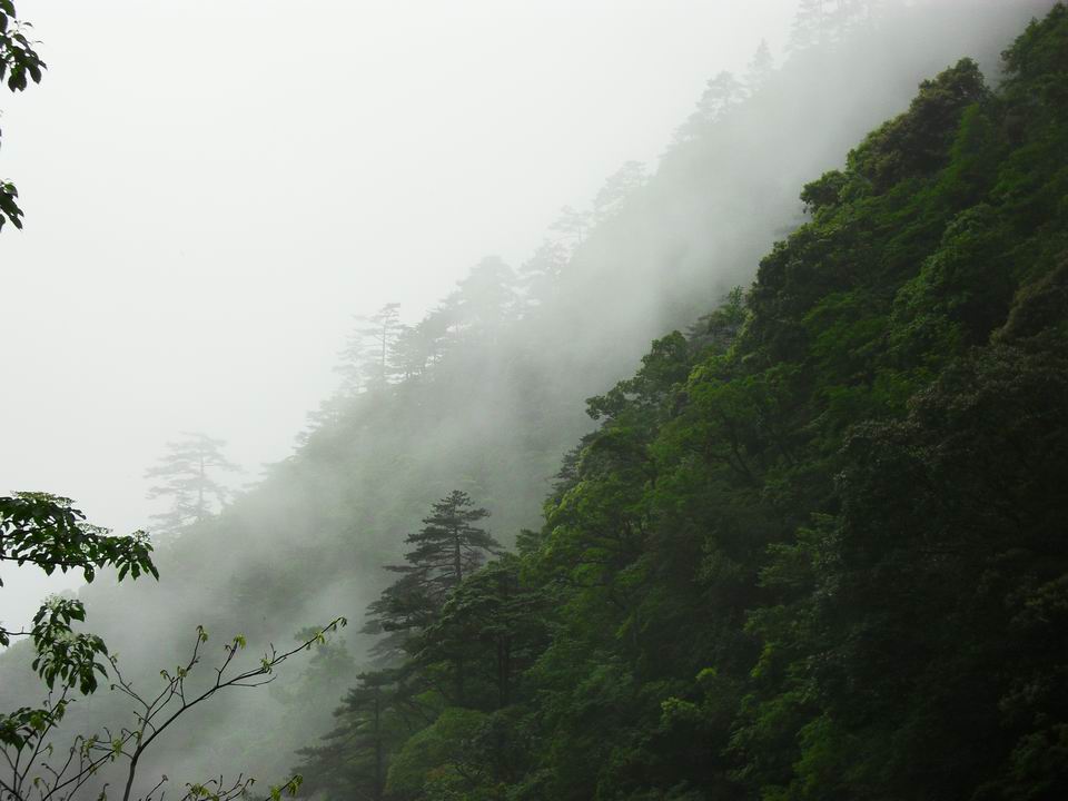 调整大小 SDC14227.JPG