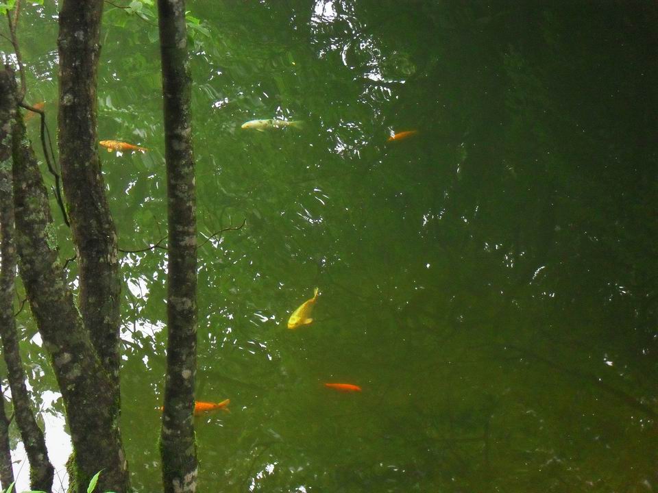 调整大小 SDC14249.JPG