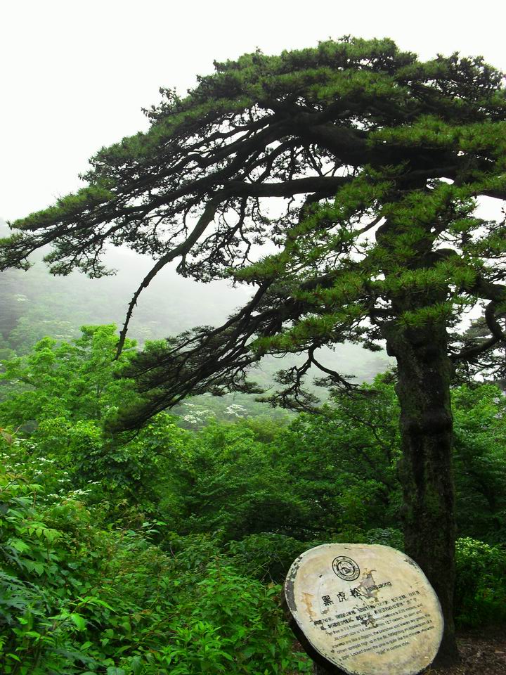 旋转 调整大小 SDC14257.JPG