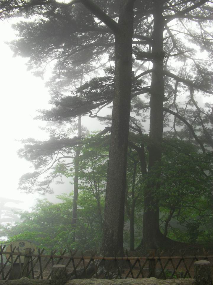 旋转 调整大小 SDC14262.JPG