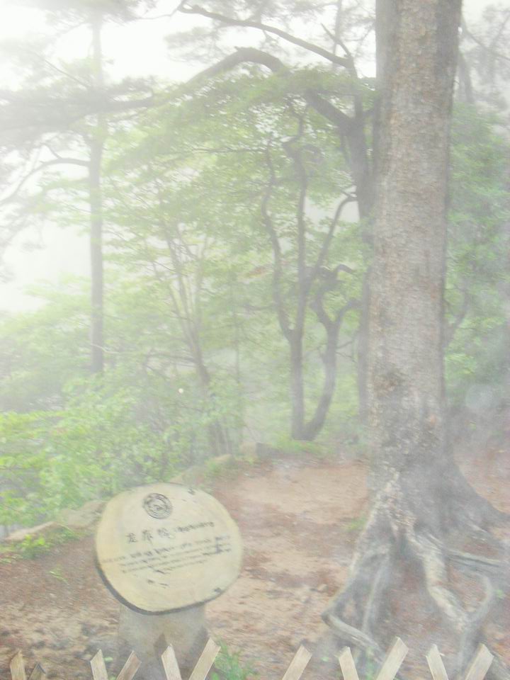 旋转 调整大小 SDC14261.JPG