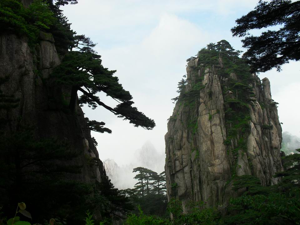 调整大小 SDC14373.JPG