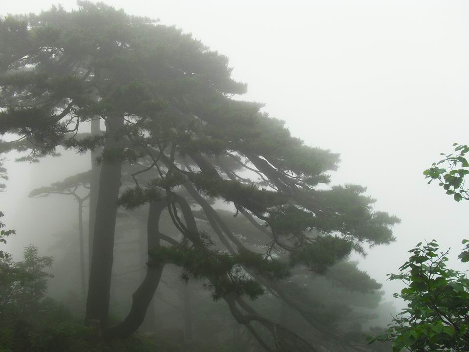 调整大小 SDC14269.JPG