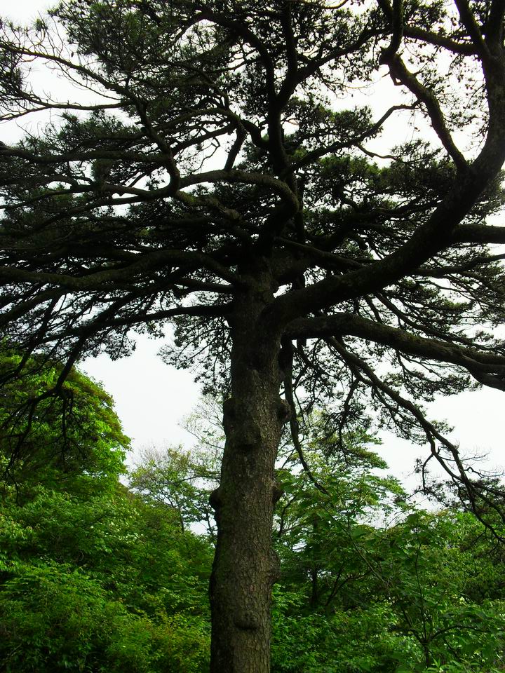 旋转 调整大小 SDC14388.JPG