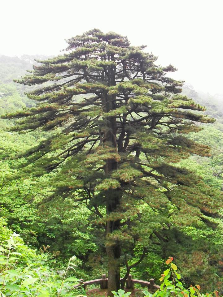 旋转 调整大小 SDC14415.JPG