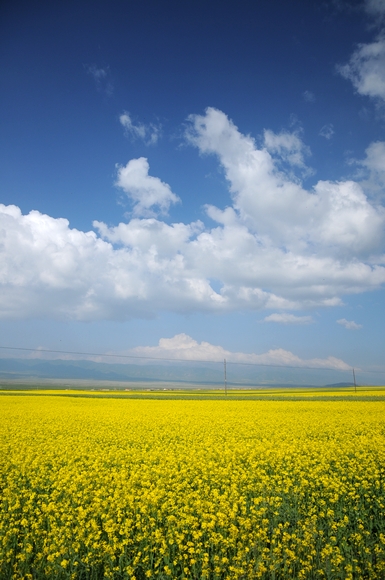 6.到达151前的这段行程 眼前的景象只能用壮丽来形容.jpg