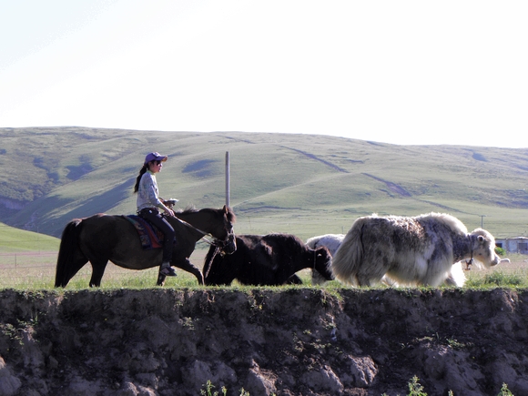 13.路上 稀疏的牧民 构成了另一道独特的风景线.jpg