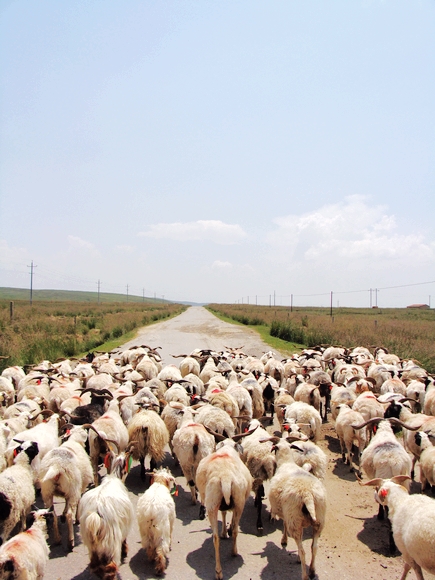 23.在到沙岛前20多公里的路上 我们只遇到了3个路人.JPG