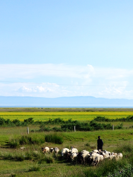 20.这一天 我们用了近3个多小时的时间照相.JPG