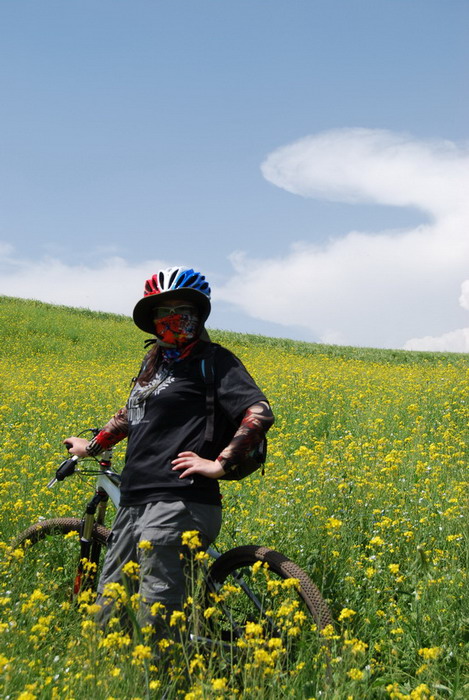 我就不告诉你我是谁