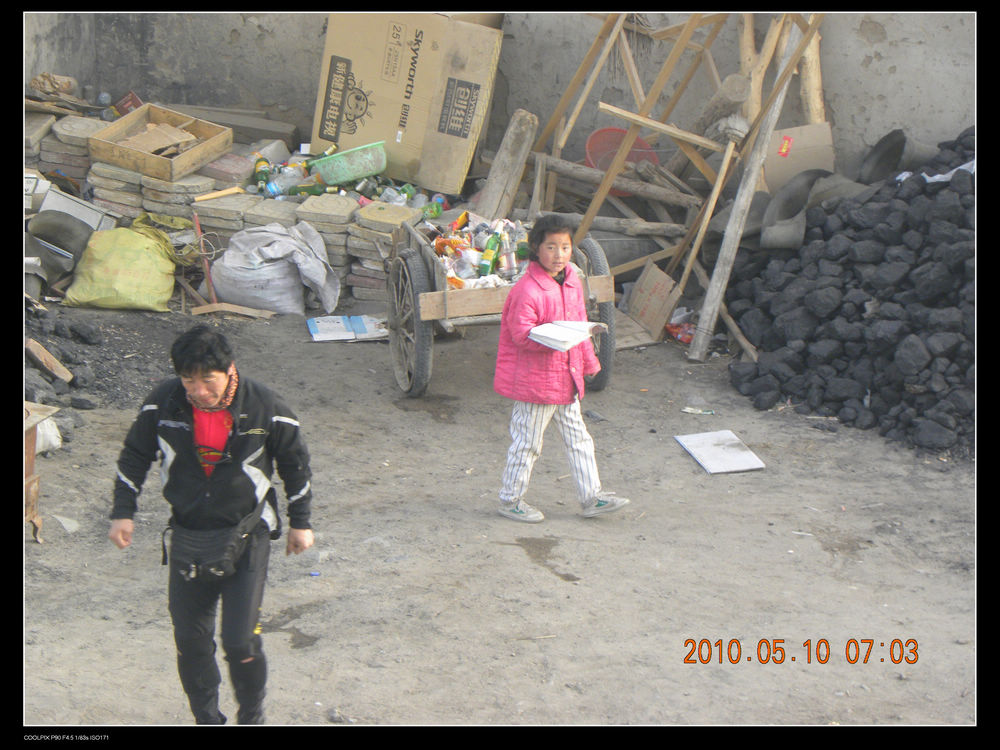 槐树送她几只笔