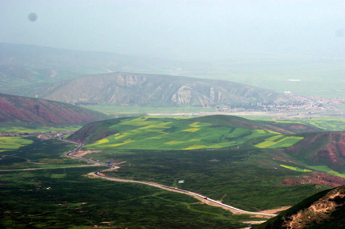 我们到了门源的观景台，可惜台下只有淡淡的一抹黄色而已了
