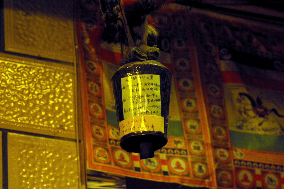 所住的青年旅舍的镇宅之宝