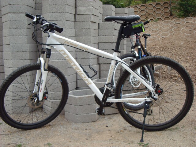 吃虫的芥末之爱车