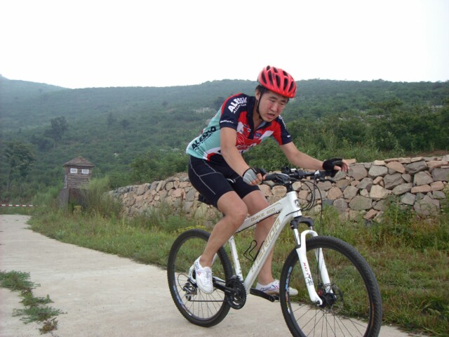 吃虫的芥末冲顶