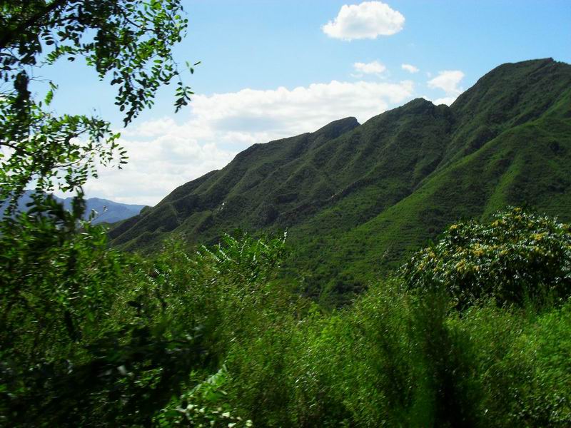 调整大小 调整大小 SDC10121.JPG