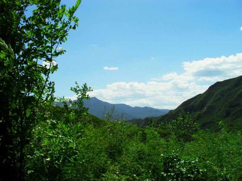 调整大小 调整大小 SDC10123.JPG