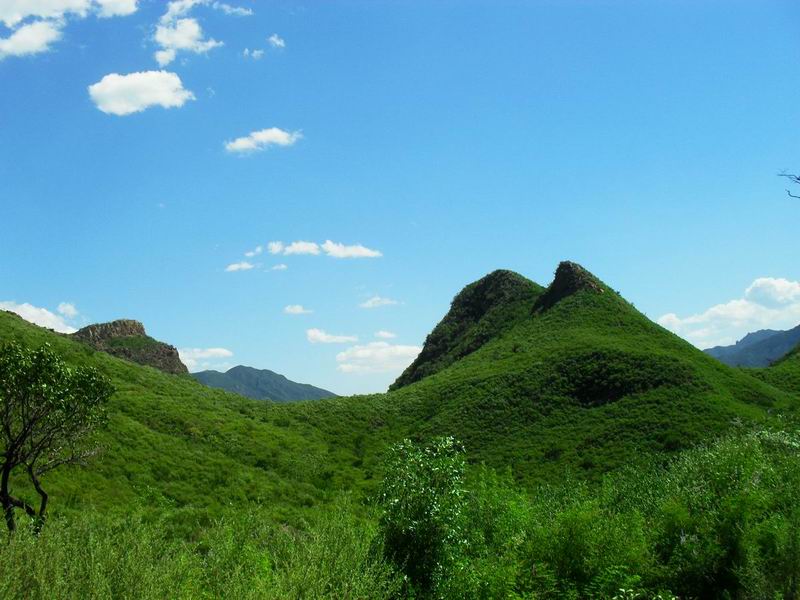 调整大小 调整大小 SDC10134.JPG