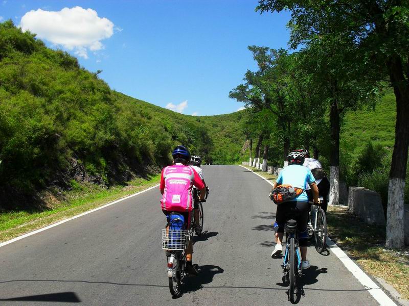 调整大小 调整大小 SDC10133.JPG