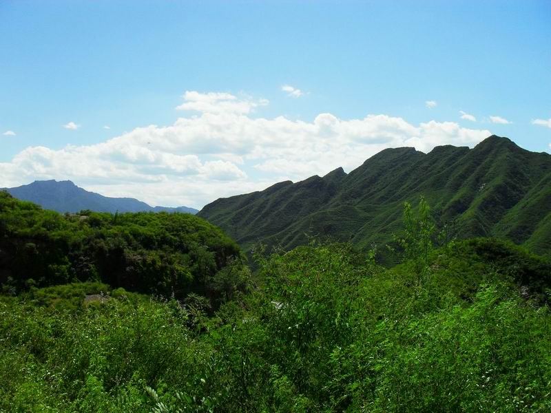 调整大小 调整大小 SDC10136.JPG