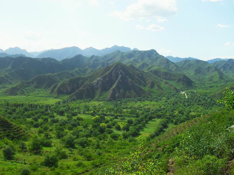 调整大小 调整大小 SDC10169.JPG