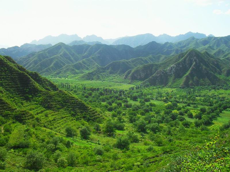 调整大小 调整大小 SDC10167.JPG