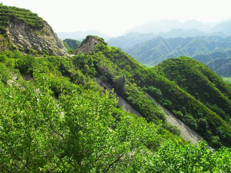 调整大小 调整大小 SDC10180.JPG