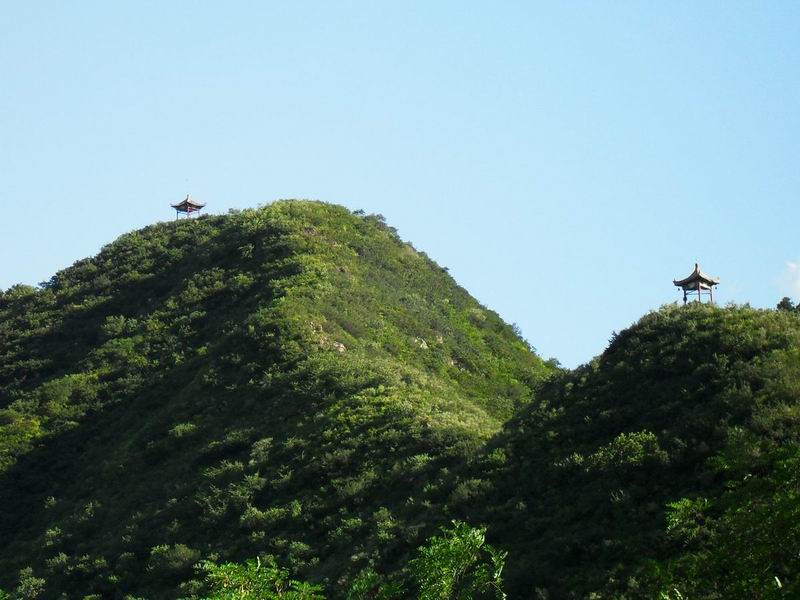 调整大小 调整大小 SDC10212.JPG