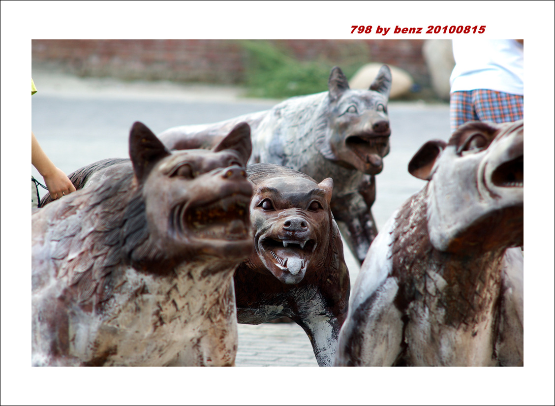 群狼雕塑2，介绍这个广场安放了110头狼