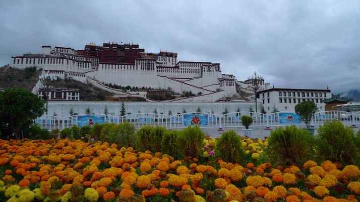 调整大小 P1030257.jpg