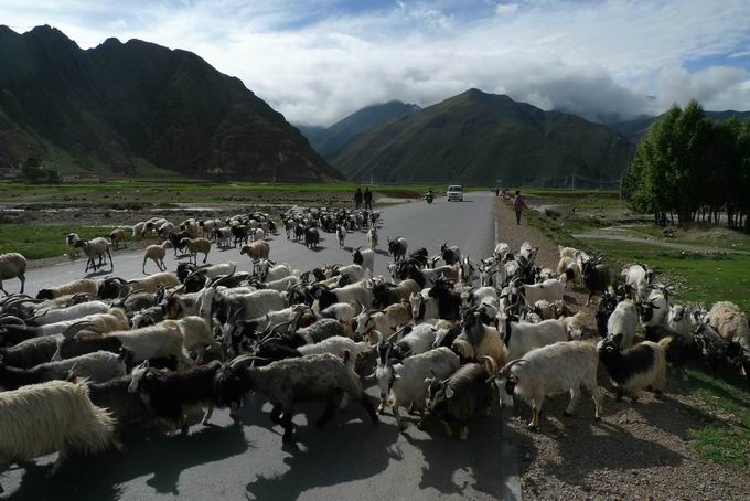 调整大小 P1030206.jpg